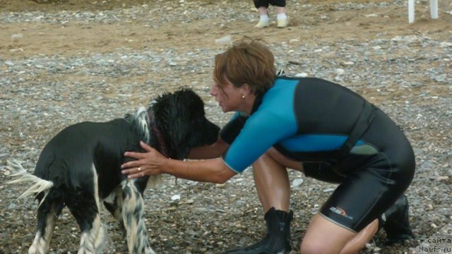 Фотография № 78965