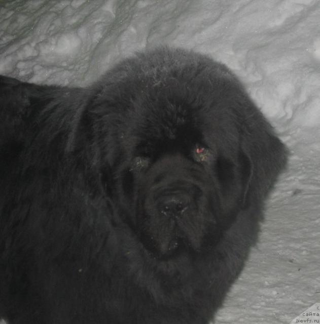 Фото: Потап Талисман