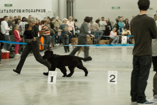 Фотография № 78975