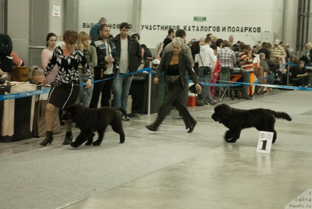 Фотография № 78977