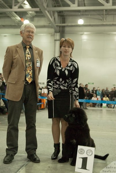 Фотография № 78978