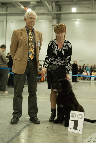 Фотография № 78979