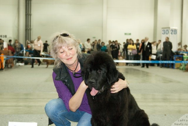 Фото: ньюфаундленд Very Fairweathers X'Got The Rhythm