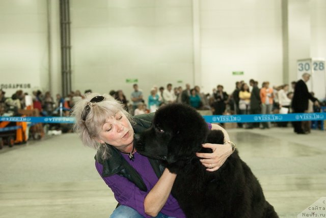 Фото: ньюфаундленд Very Fairweathers X'Got The Rhythm