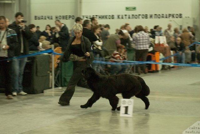 Фотография № 78994