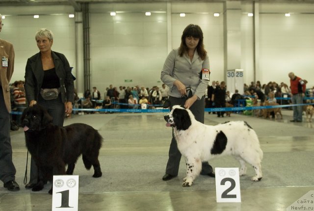 Фотография № 78998