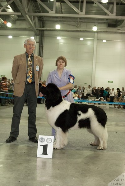 Фотография № 79002