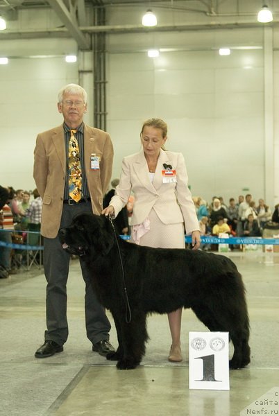 Фотография № 79004