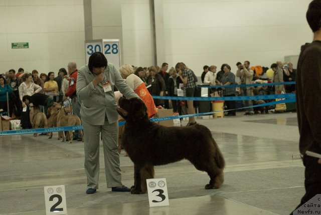 Фотография № 79006