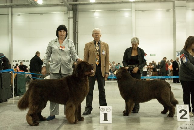 Фотография № 79012