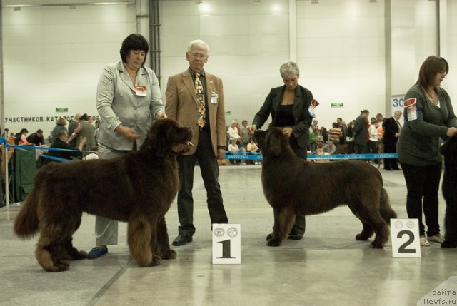 Фотография № 79013