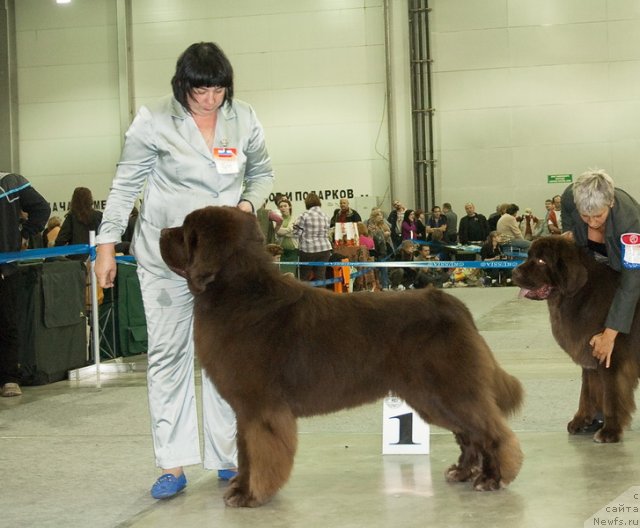 Фотография № 79014