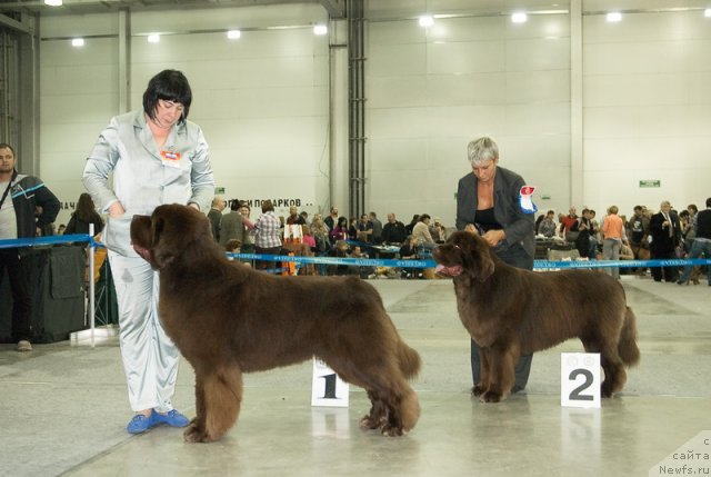 Фото: [d8631][d8612]