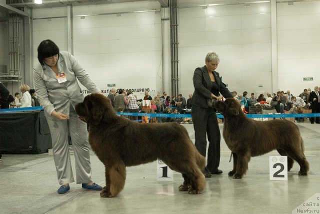 Фото: [d8631][d8612]