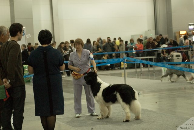 Фотография № 79018