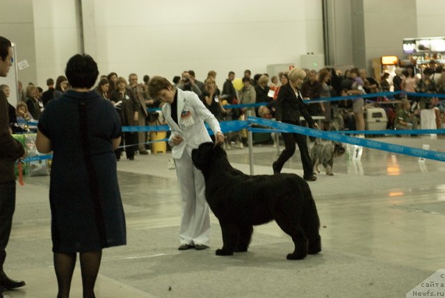 Фотография № 79019