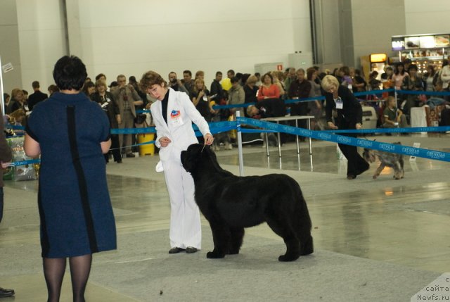 Фотография № 79021