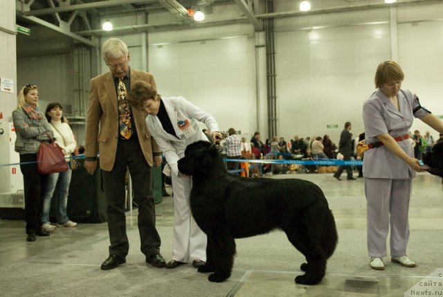 Фотография № 79022