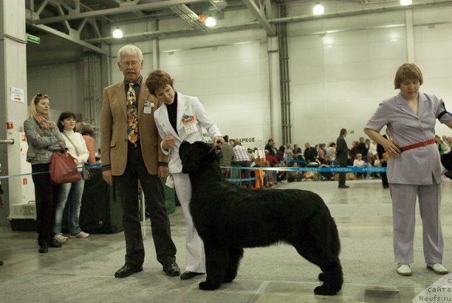 Фотография № 79024