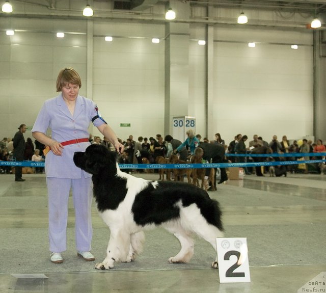 Фотография № 79026