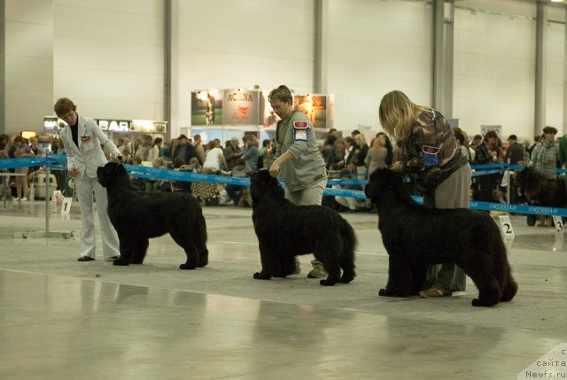 Фотография № 79036