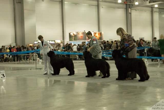 Фотография № 79037