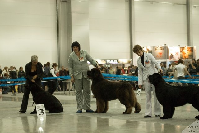 Фотография № 79038