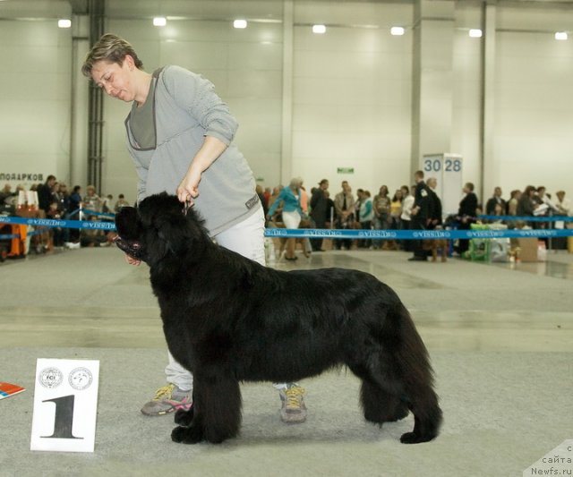 Фотография № 79042