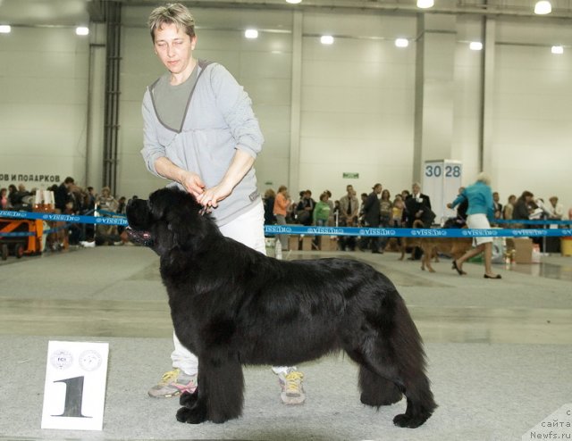 Фотография № 79043