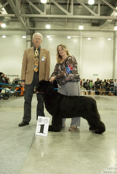 Фотография № 79044