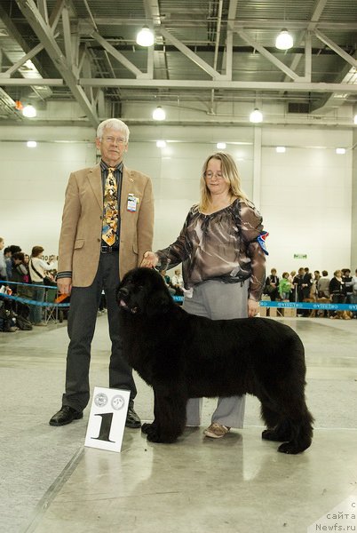 Фотография № 79045