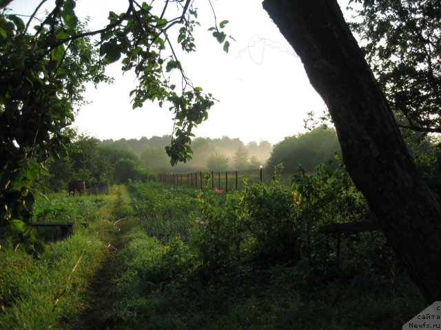 Фото: Светлана Глаголева