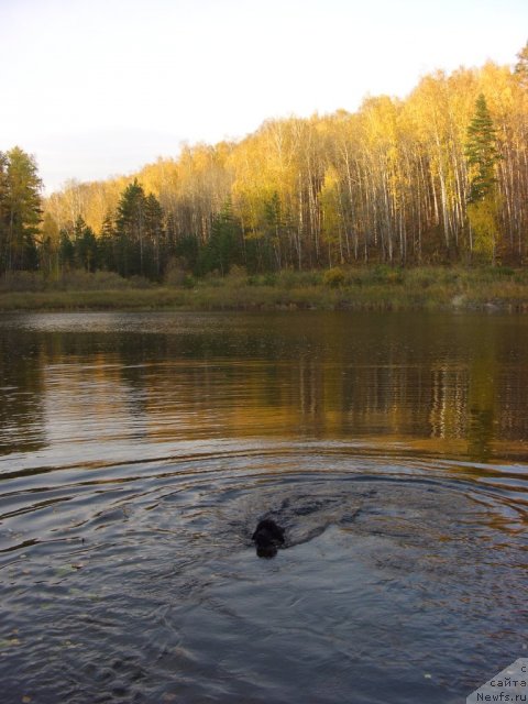 Фотография № 79074