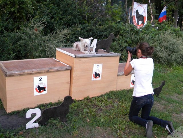 Фотография № 79119