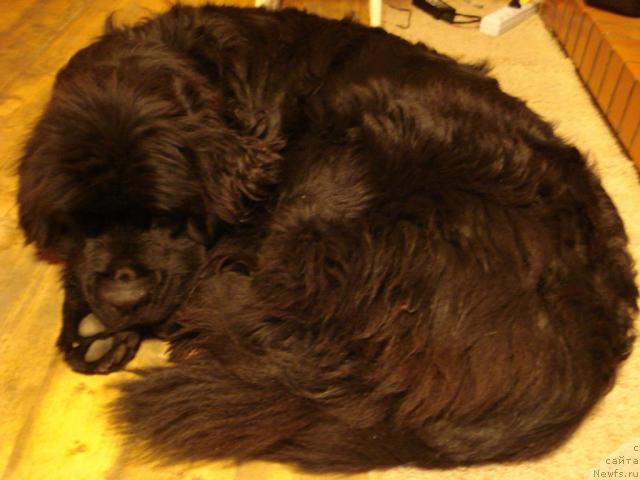 Фотография № 7914