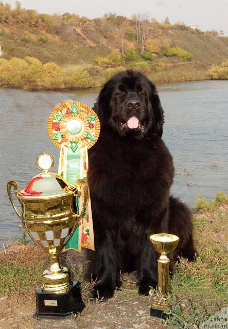 Фотография № 79141