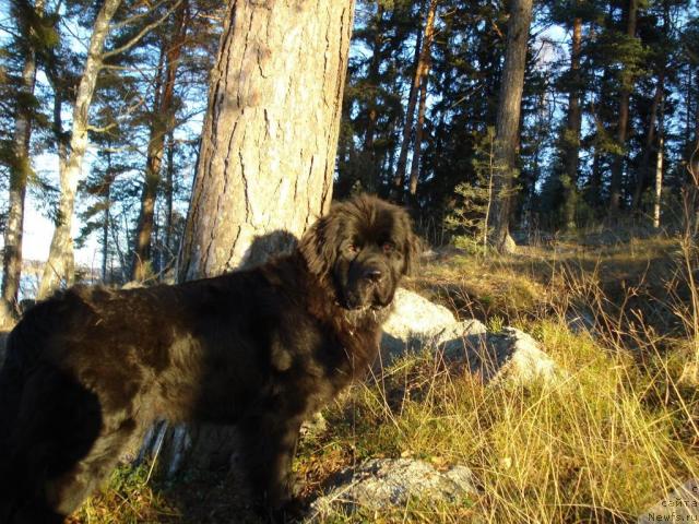 Фотография № 7916