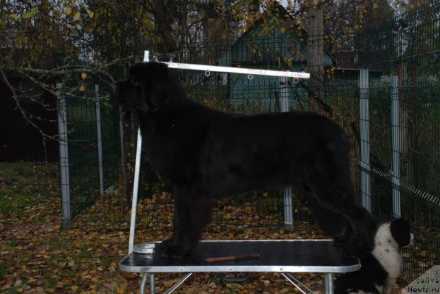 Фотография № 79232