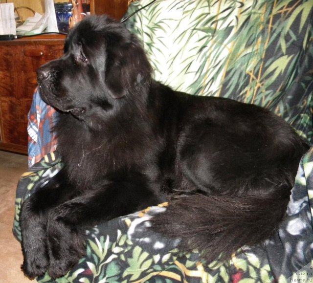 Фотография № 79246