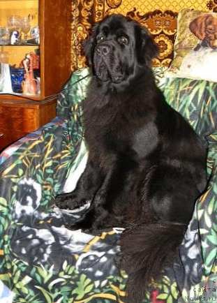 Фотография № 79247