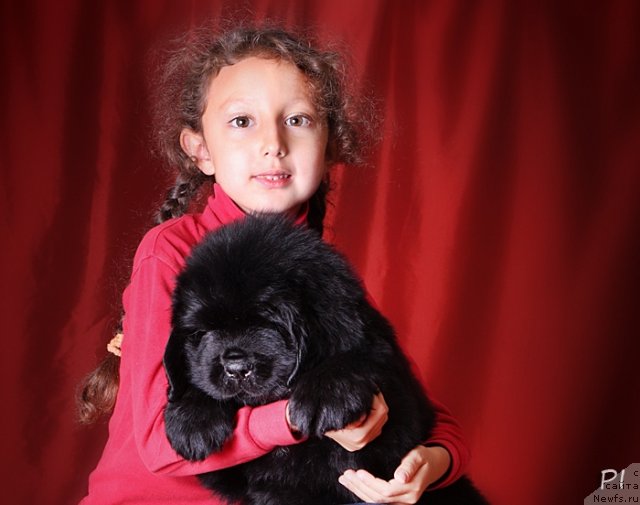 Фотография № 79256