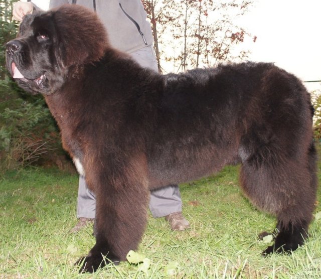 Фотография № 79264