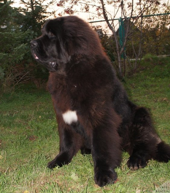 Фотография № 79266