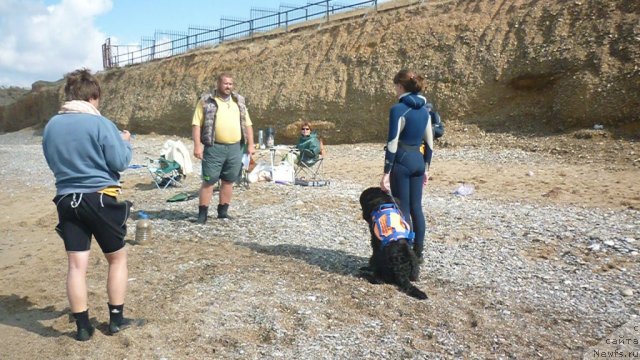 Фотография № 79270