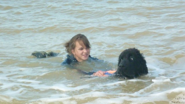 Фотография № 79275