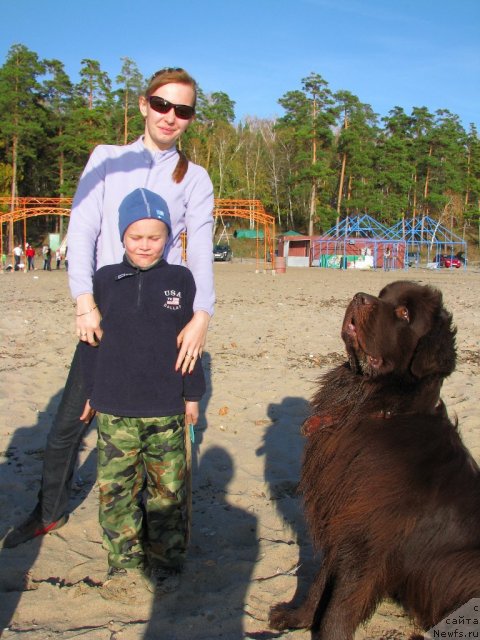 Фото: ньюфаундленд Исполин из Царства Медведей