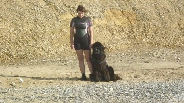 Фотография № 79288