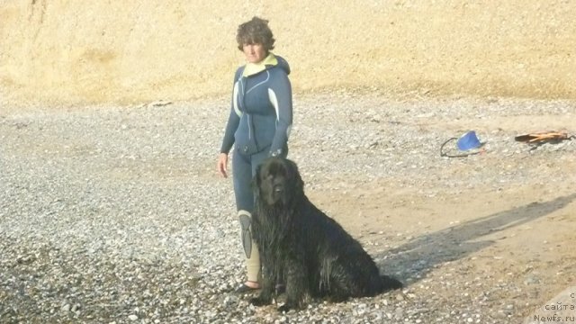 Фото: Наталия Михайлова, и ШЕРИФ