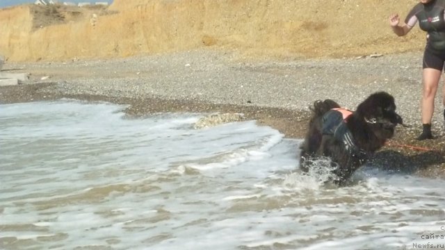 Фотография № 79303