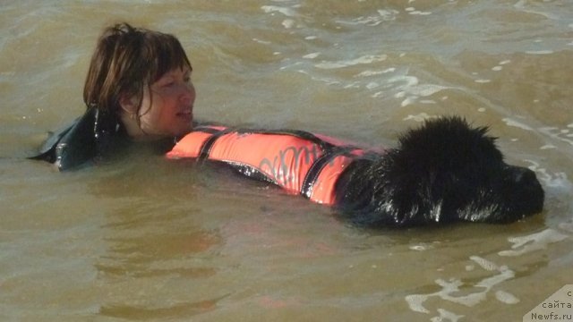 Фотография № 79313